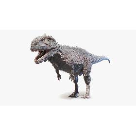 3D Rajasaurus